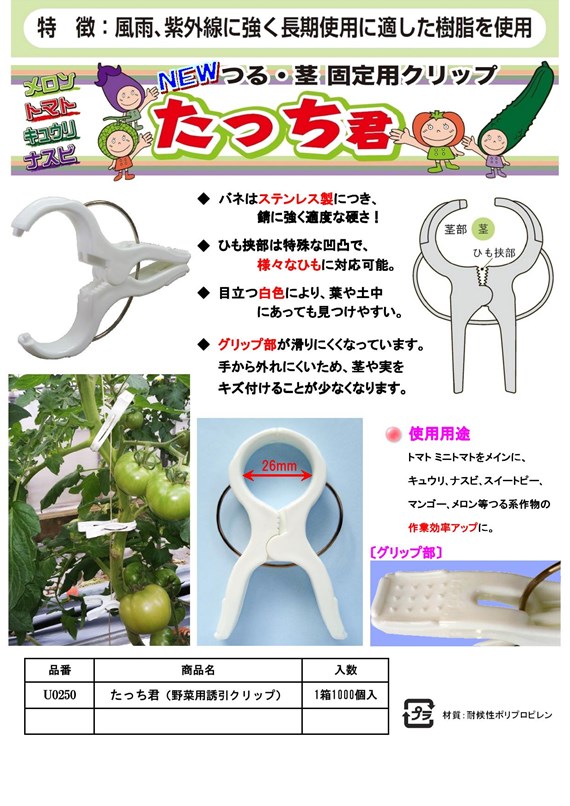 �������N�J�^���O